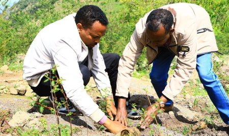 የደብረ ታቦር ዩኒቨርስቲ ለሁለተኛ ዙር የችግኝ ተከላ መርሀ-ግብር አከናወነ